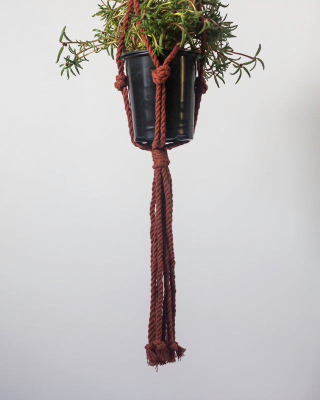 Eco-Friendly, handmade, and Fair Trade Red Plant holder Rustic, durable, and expansive, like the beautiful coasts of Bluefields in Nicaragua.