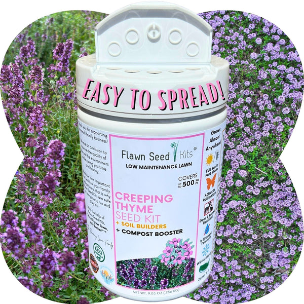 Creeping Thyme Easy Spread Shaker tube by Flawn Seed Kits — non-GMO flowering lawn seed kit