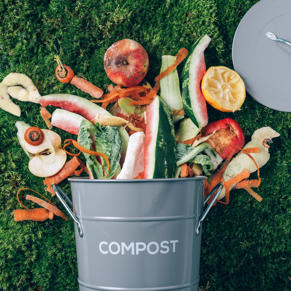 NYC Gets Back in the Compost Game: Big News for Sustainable Living!