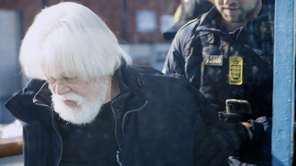 Captain Paul Watson Arrested in Greenland: Take Action to #FREEPAULWATSON!