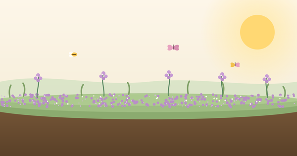 Planted Creeping Thyme 3 Weeks Ago and Nothing's Growing? Here's What's Going On