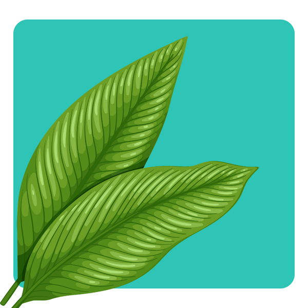 Eco-friendly Products