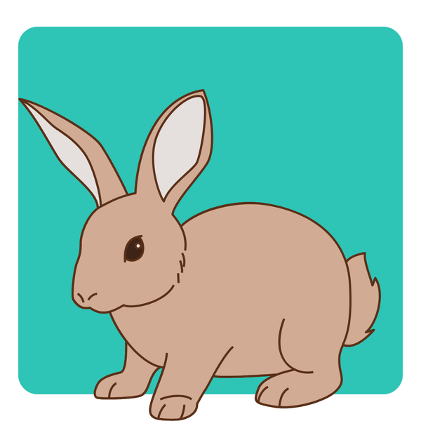 Cruelty-free Products