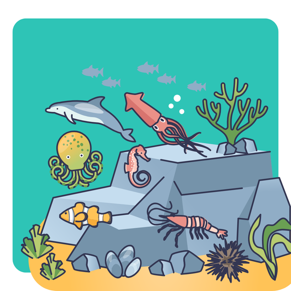 Biodegradable Products