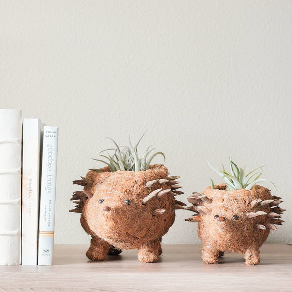 Planters