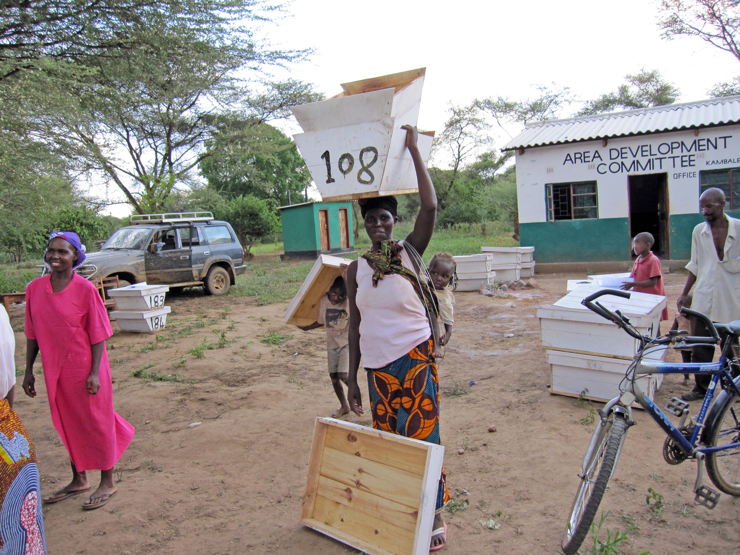 Organic Wild Honeydew Forest Honey