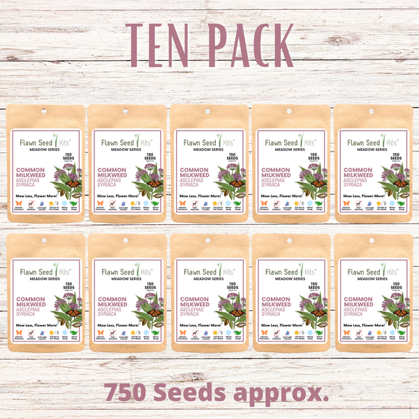 Ten packs of Flaxon Seed Co. Common Milkweed seeds on a wooden background with text indicating quantity and seed count.