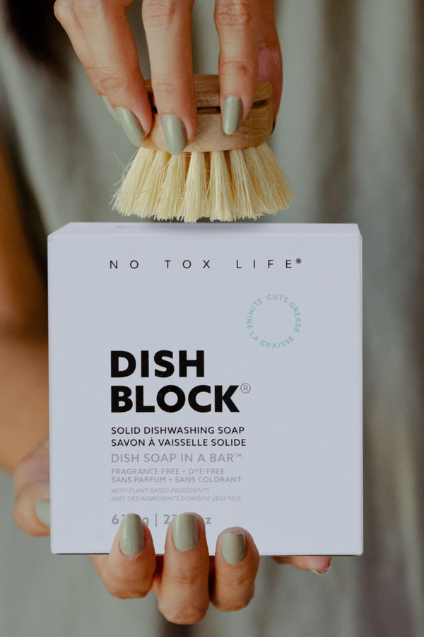 Hand holding a box of 'Dish Block' with a scrubbing brush above it, branded 'No Tox Life'.