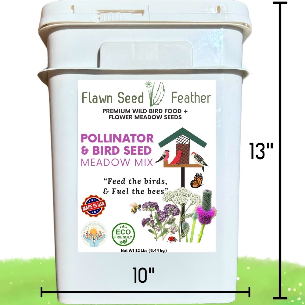 Pollinator & Wild Bird Seed Meadow Mix