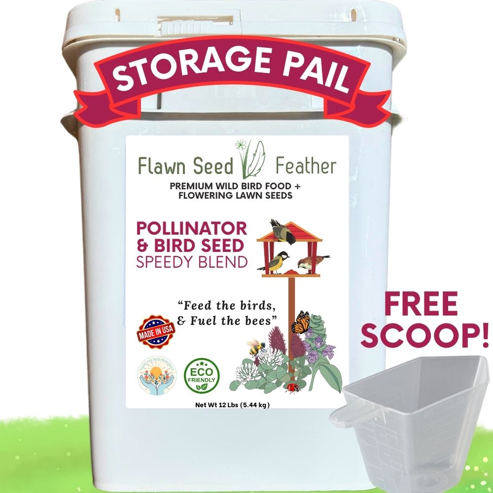 Flawn Seed Feather storage pail with bird seed blend and free scoop on a white background