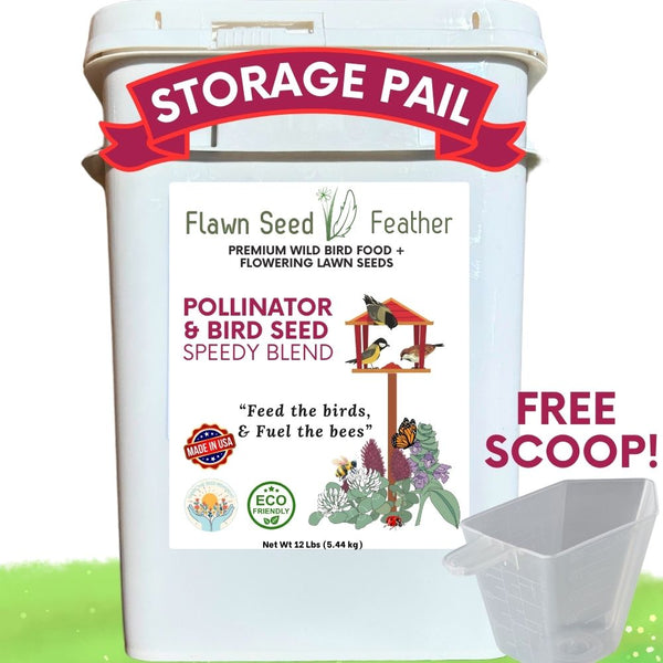 Flawn Seed Feather storage pail with bird seed blend and free scoop on a white background