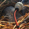 White outdoor electrical plug with red cord on a stone surface with dry leaves.
