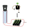 Diagram of a hydroponic system with plants and water tank.
