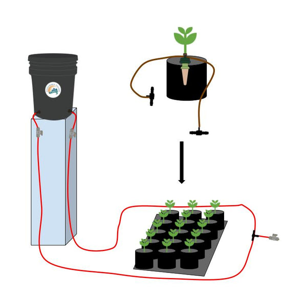 Diagram of a hydroponic system with plants and water tank.