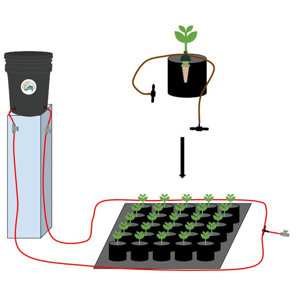 Diagram of a hydroponic system with plants and water reservoir.