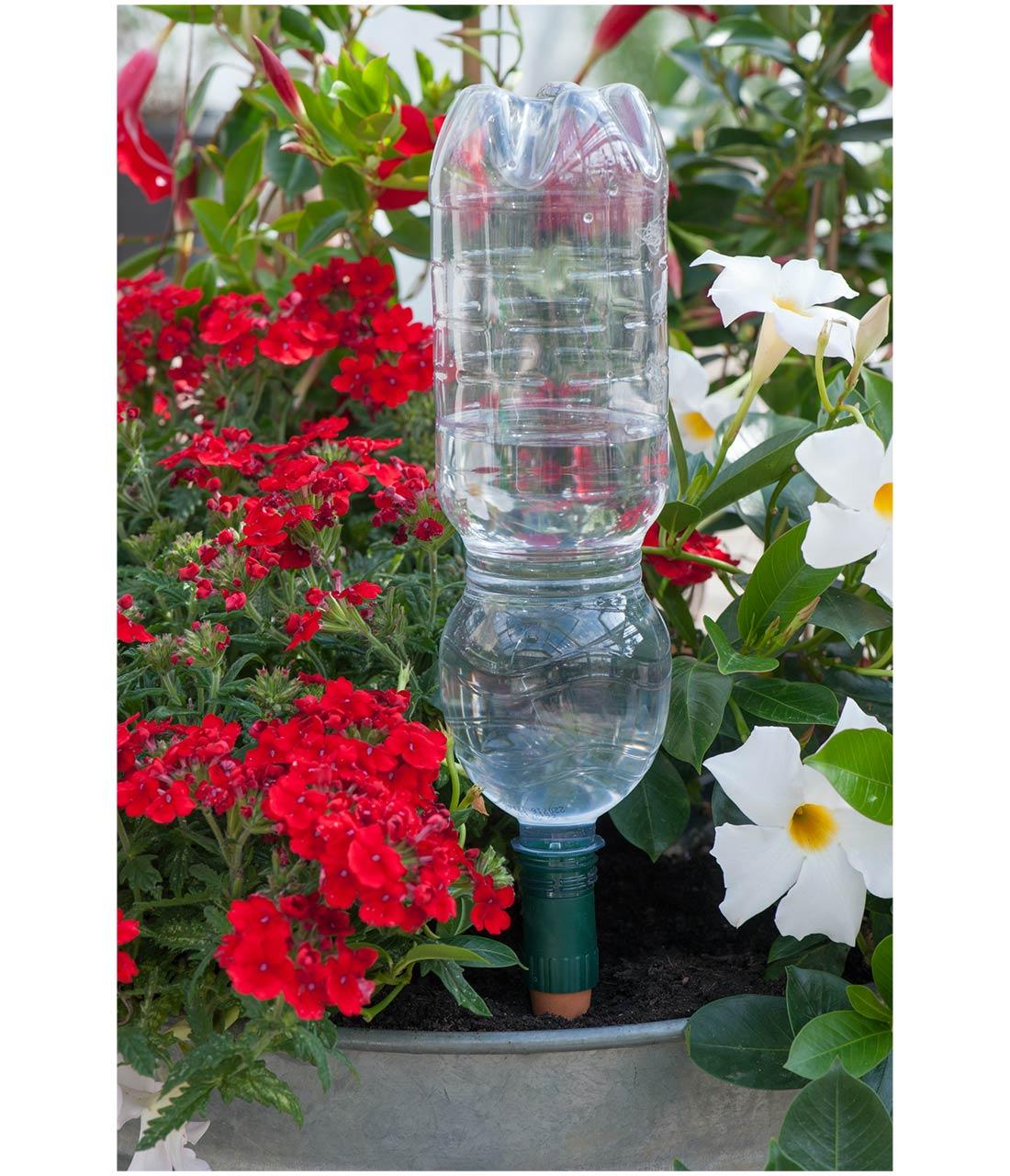 Clear plastic bottle with a green base used as a rain gauge in a garden with red and white flowers.