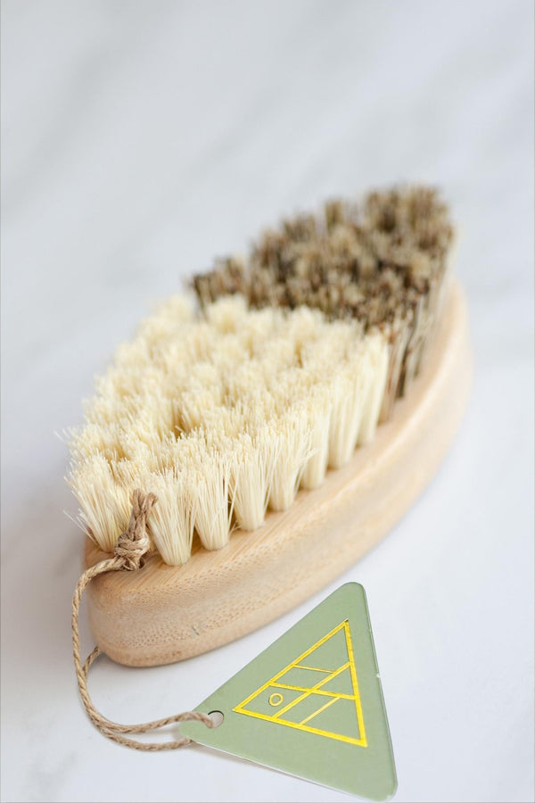 CASA AGAVE® Duo Tone Vegetable Brush – Bamboo & Agave Fiber Scrub Brush