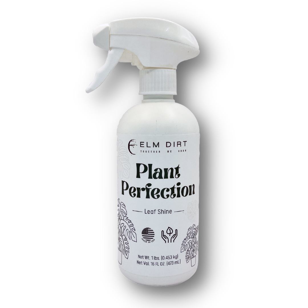 White spray bottle labeled 'Plant Perfection' on a white background