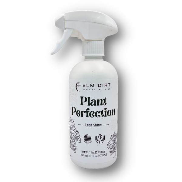 White spray bottle labeled 'Plant Perfection' on a white background