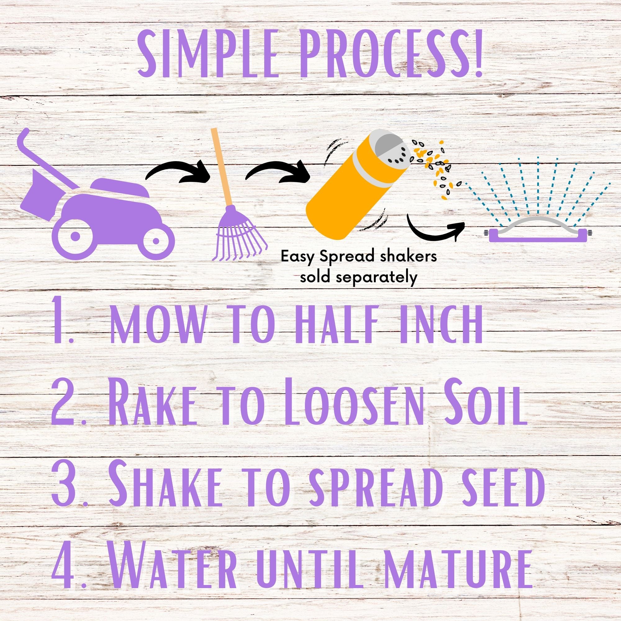 Self-Heal Seed Pouch: Your Easy Path to a Pollinator-Friendly, Low-Maintenance Lawn