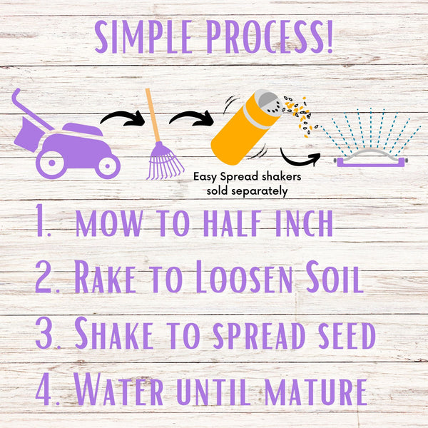 Self-Heal Seed Pouch: Your Easy Path to a Pollinator-Friendly, Low-Maintenance Lawn