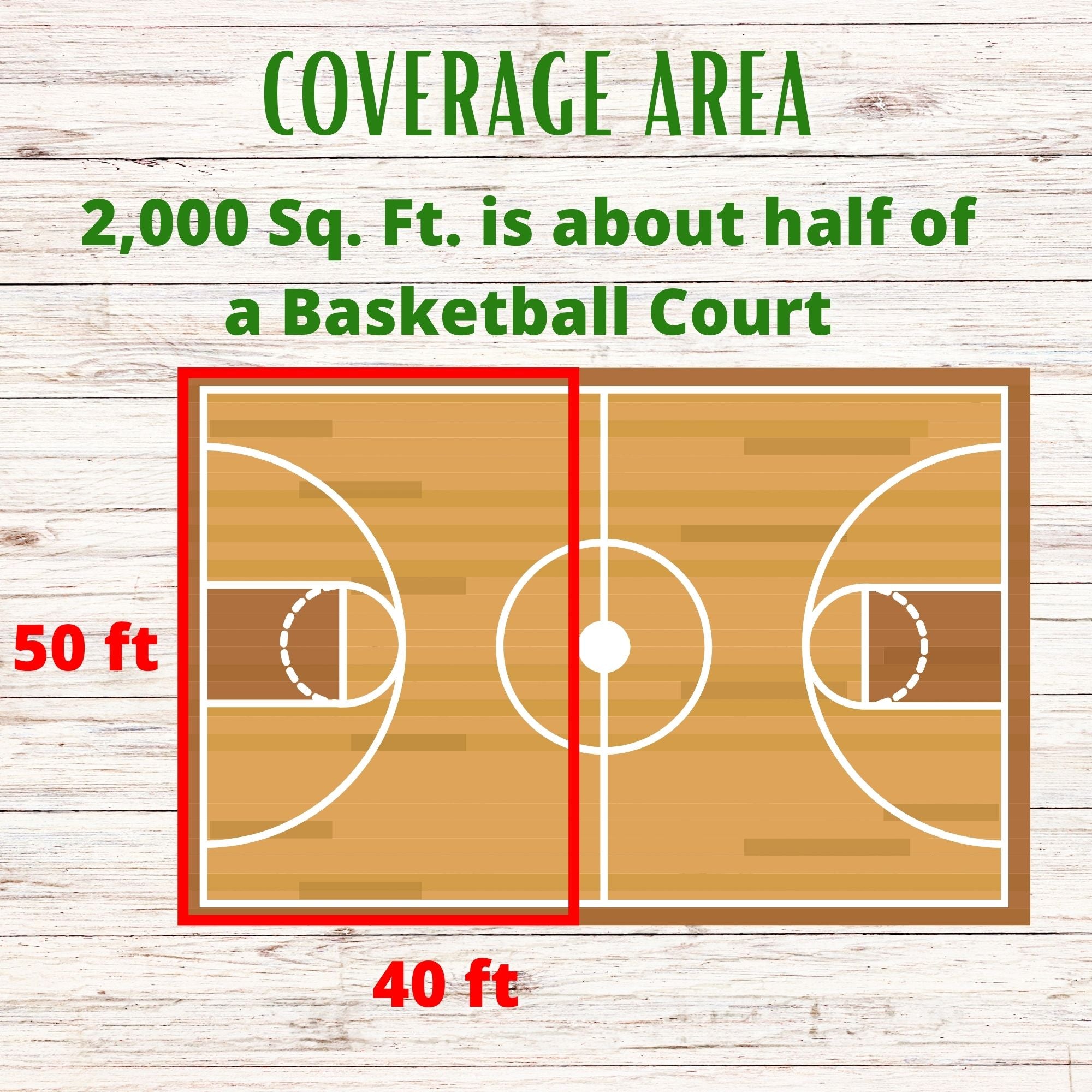 Economy Mow Less Grass Seed