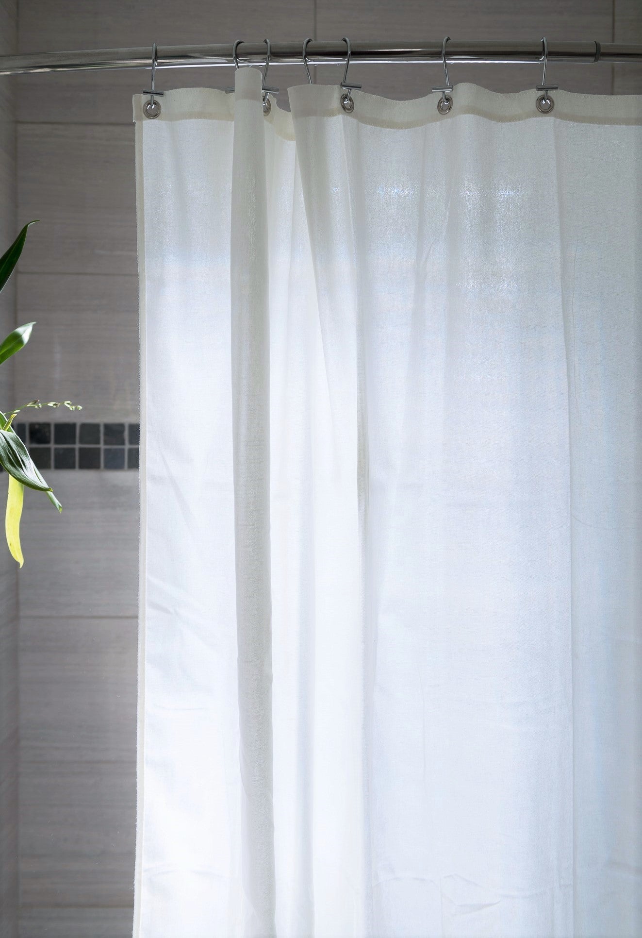 White shower curtain in a bathroom with a plant on a shelf.