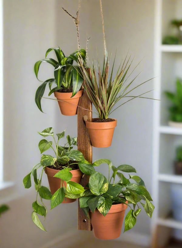 Hanging plant stand with multiple potted plants against a neutral wall.