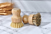 Close-up of Desesh bamboo handle-less dish brush showing solid integrated coconut fiber bristles and bamboo body