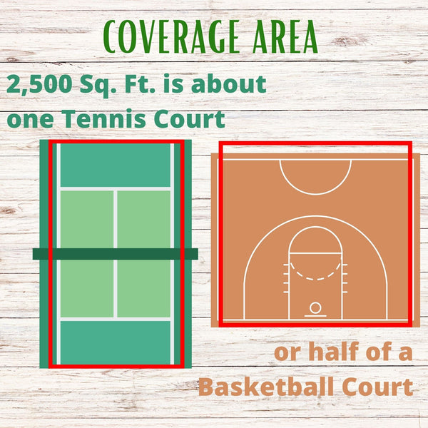 Micro Bee Lawn Seed Mixture - Easy Spread Shaker: Your Low-Sting, Eco-Friendly Oasis