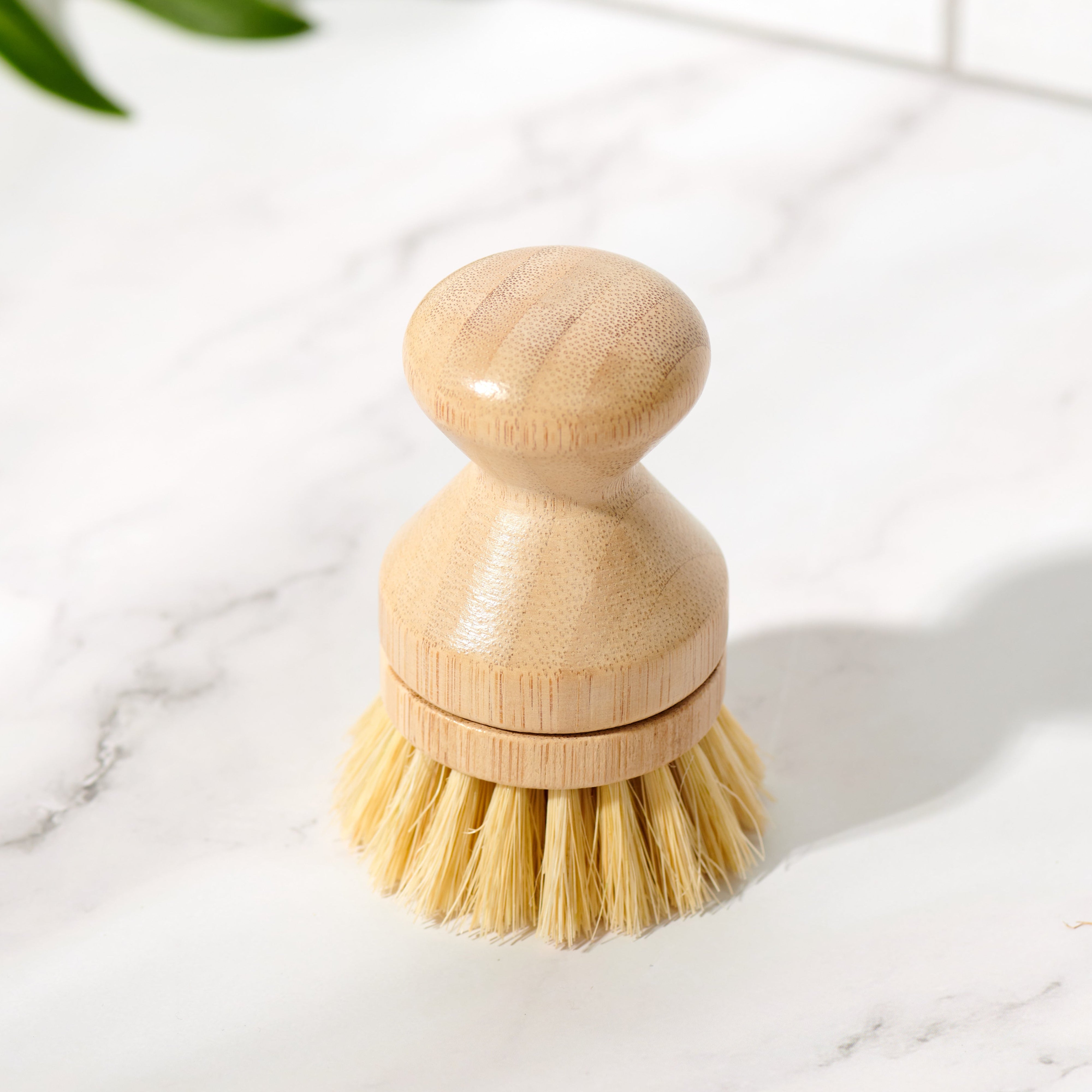 Close-up of replaceable head on Desesh bamboo dish scrub brush showing natural sisal bristles