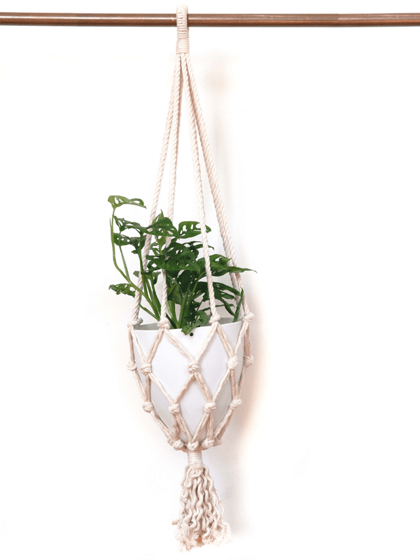 Recycled Macramé Plant Hanger | Fair Trade, Handmade in Cambodia