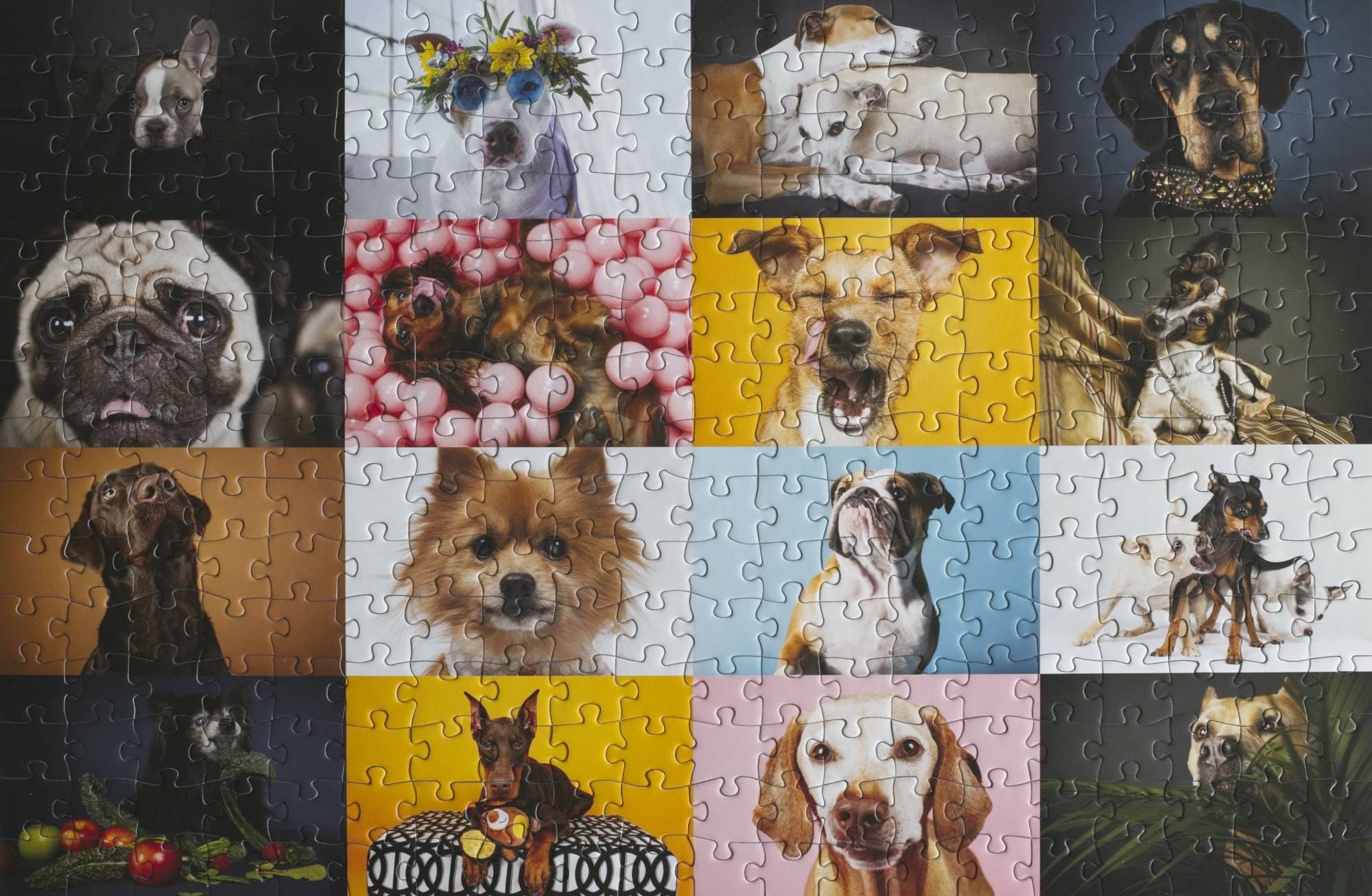 300-piece dogs jigsaw puzzle with artwork by Ellen Shershow, Oakland Puzzle Company