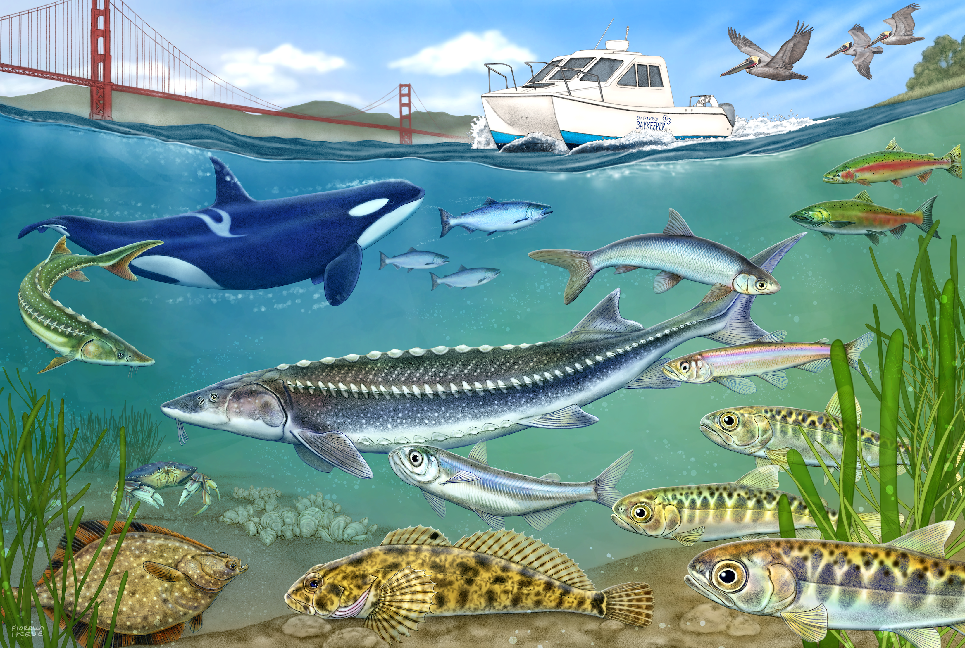 300-Piece Jigsaw Puzzles for Adults | Oakland Puzzle Company