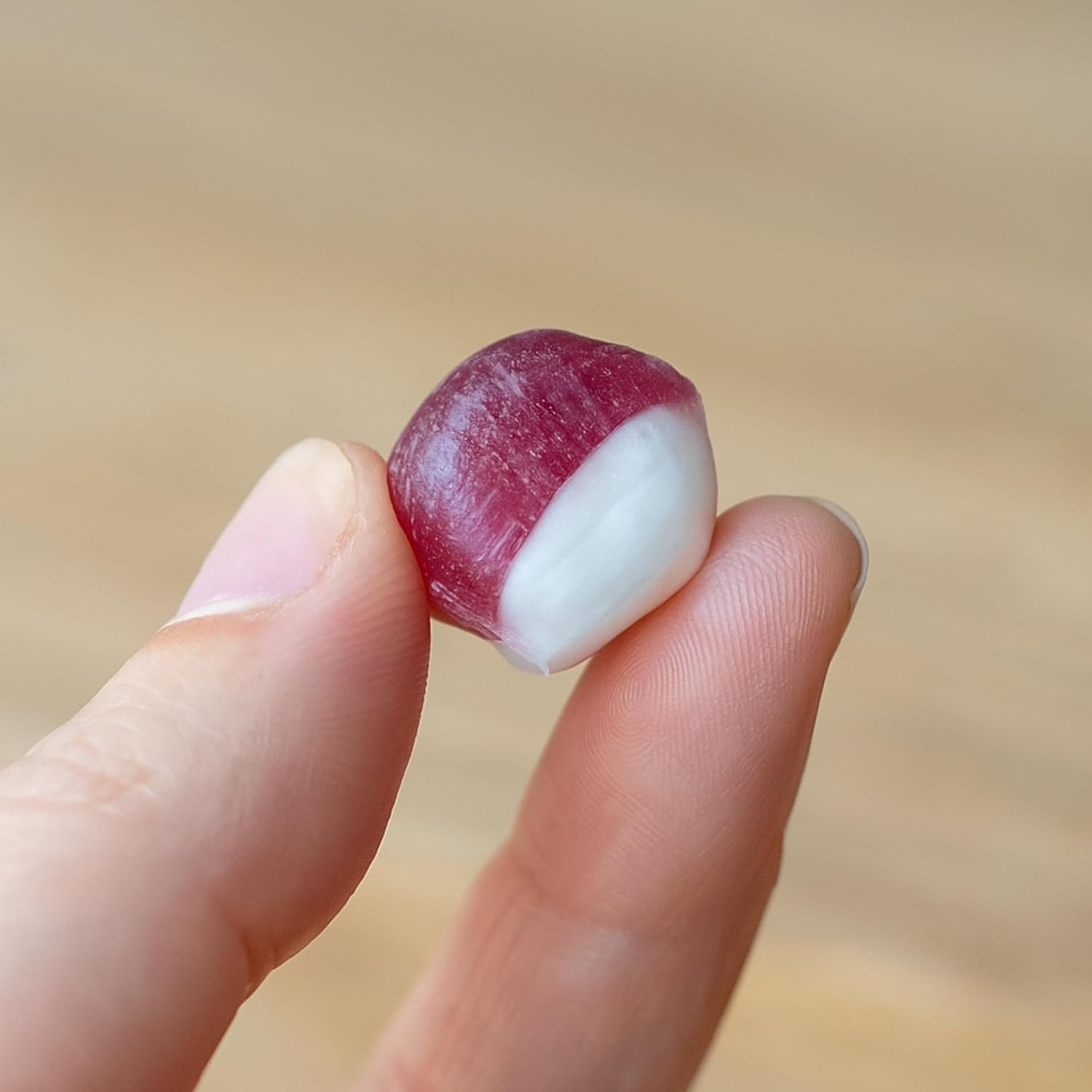 Small red and white radish held between two fingers against a blurred background