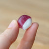 Small red and white radish held between two fingers against a blurred background