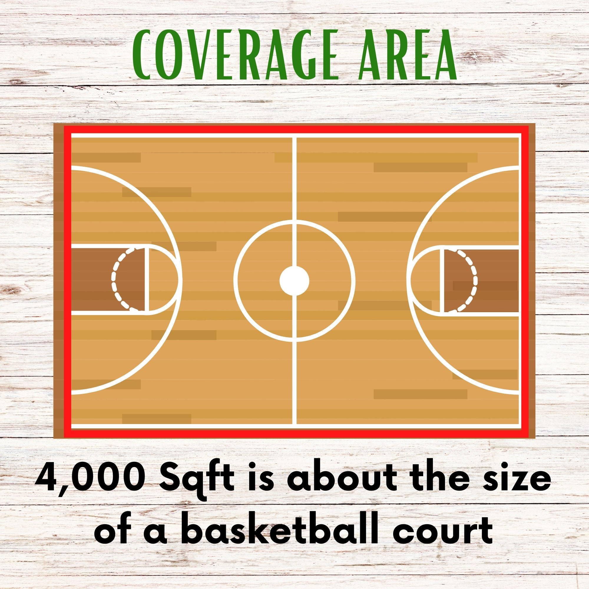 Economy Mow Less Grass Seed