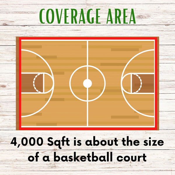 Economy Mow Less Grass Seed