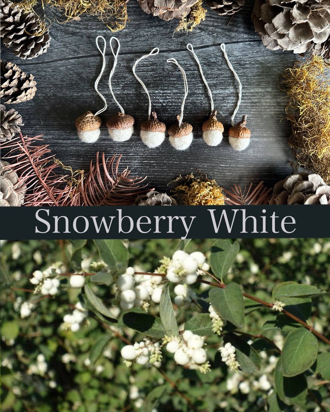 Wool Star Ornaments, Set of 5, Needle-Felted in Snowberry White