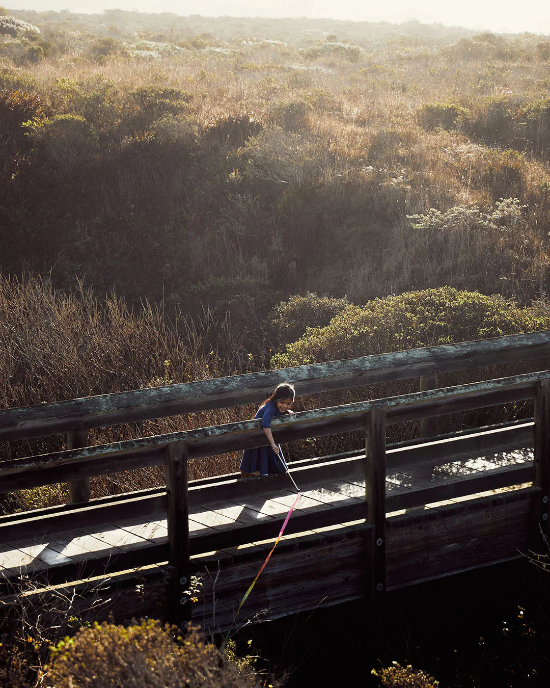 Person walking on a wooden boardwalk over a coastal landscape with trees and water.