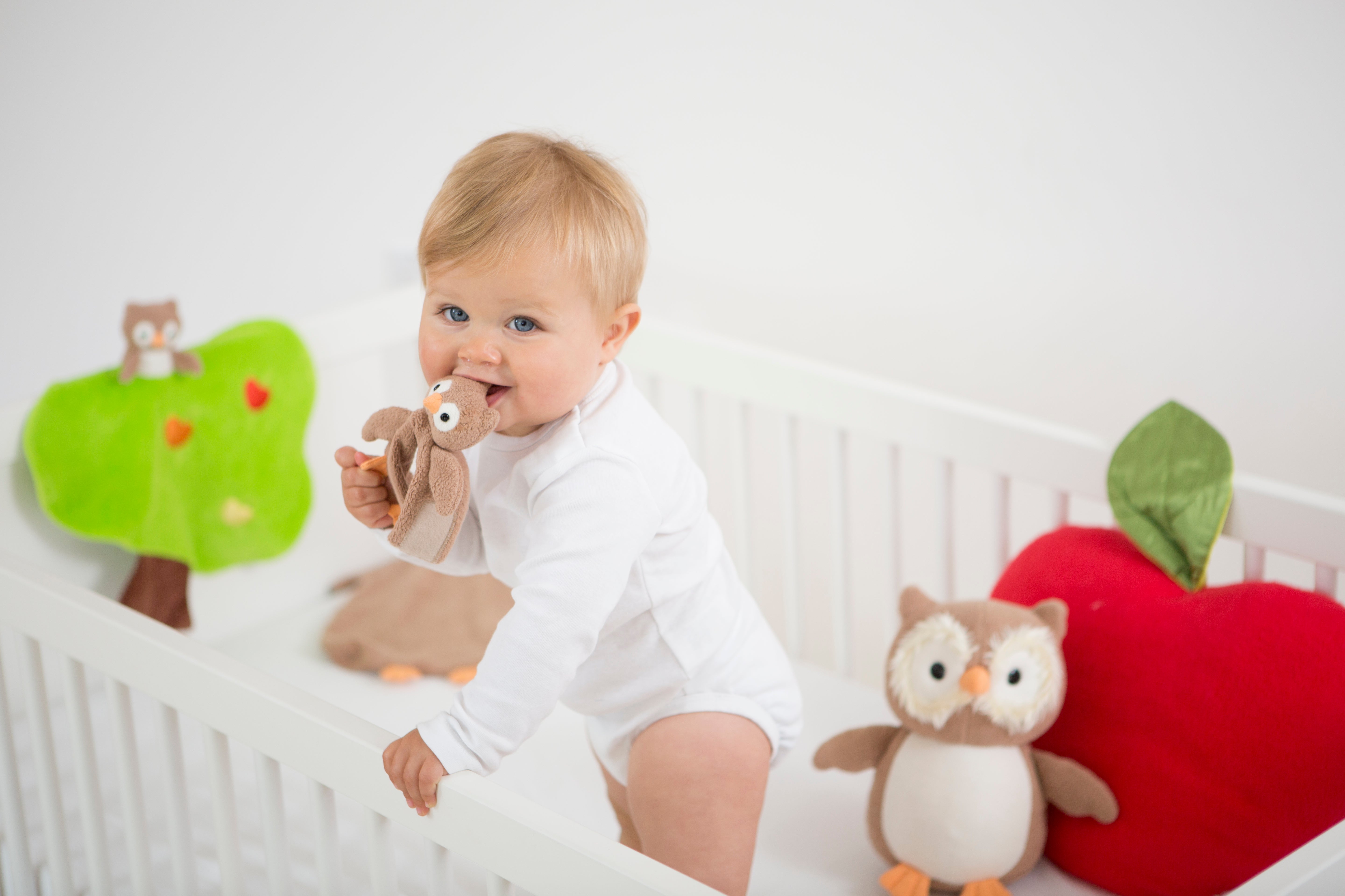 Apple Park organic cotton owl teething rattle from the Organic Farm Buddies collection