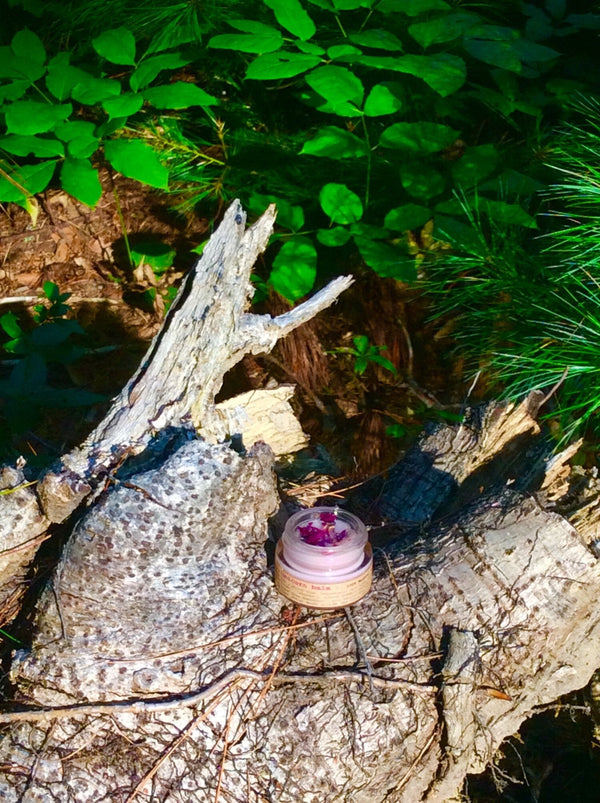 Small purple container on a rock with green foliage in the background