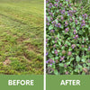 Before and after comparison of a grassy area with weeds and flowers.