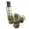 Blumat 4-large-pot irrigation kit with gravity-fed reservoir and 10-inch drip rings for 10 to 20 gallon containers