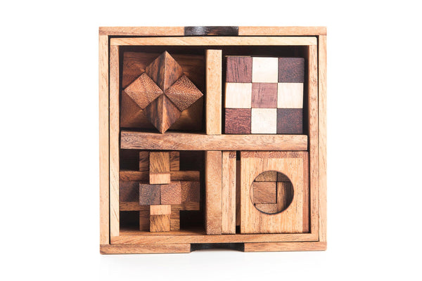 5 Mechanical Puzzle Set - Puzzle Gift Box For Adults