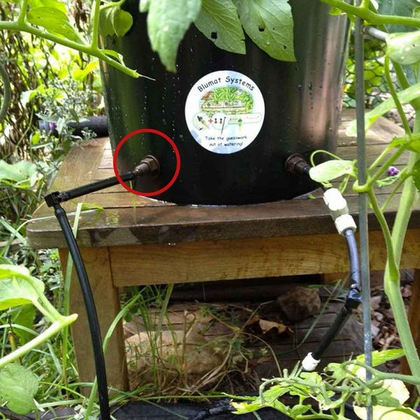Black water container with a label on a wooden platform surrounded by plants