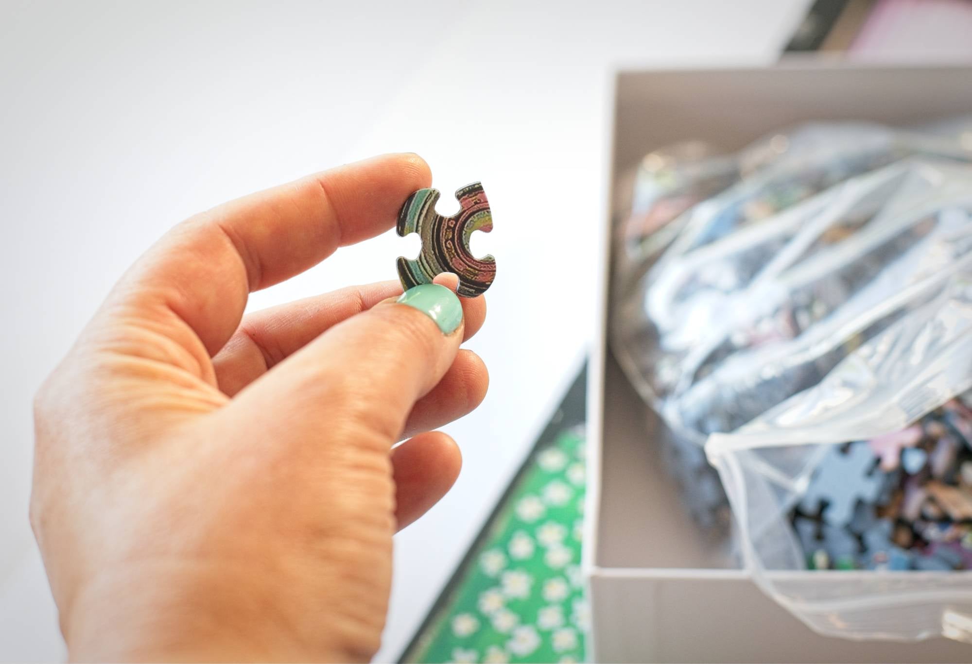Close-up of a single jigsaw piece from the 59 Rue de Rivoli Paris puzzle
