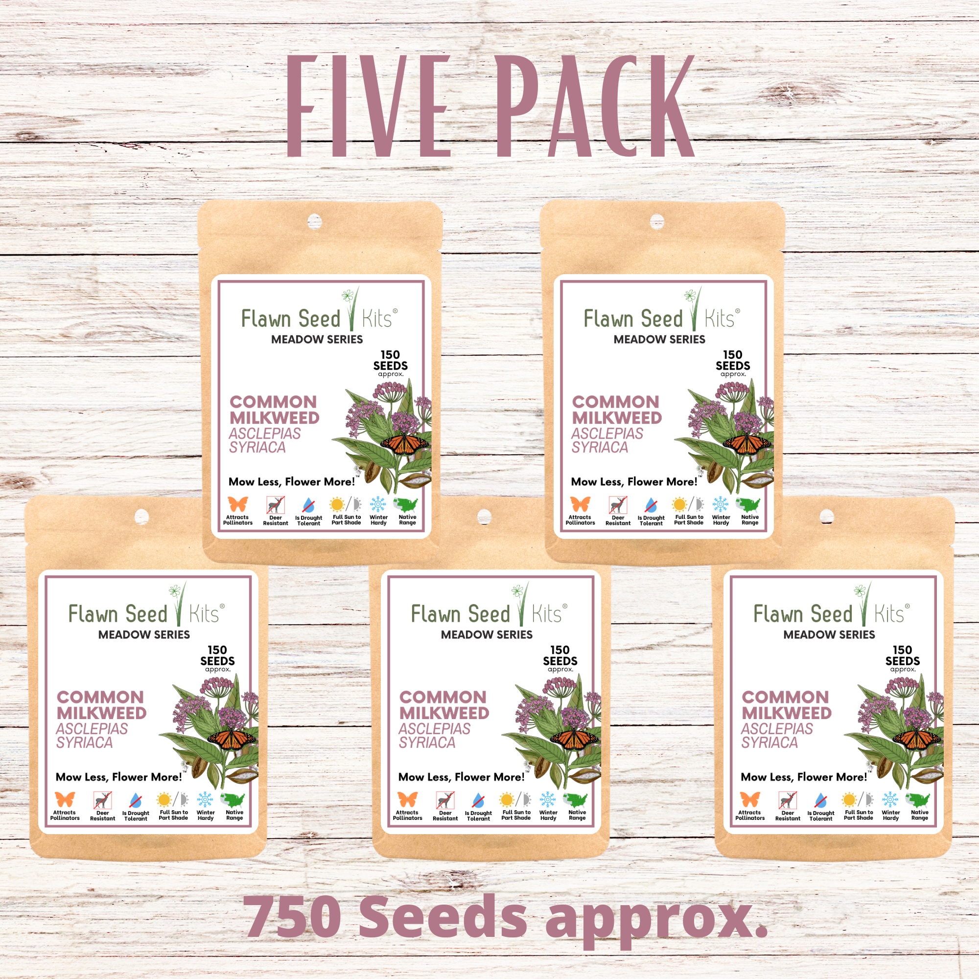 Non-GMO Common Milkweed seeds in compostable packaging — support monarch butterflies & native pollinators. Easy to grow, drought-tolerant & zones 3–8. Shop now.
