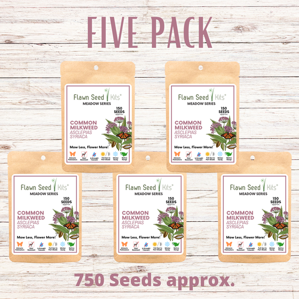 Non-GMO Common Milkweed seeds in compostable packaging — support monarch butterflies & native pollinators. Easy to grow, drought-tolerant & zones 3–8. Shop now.