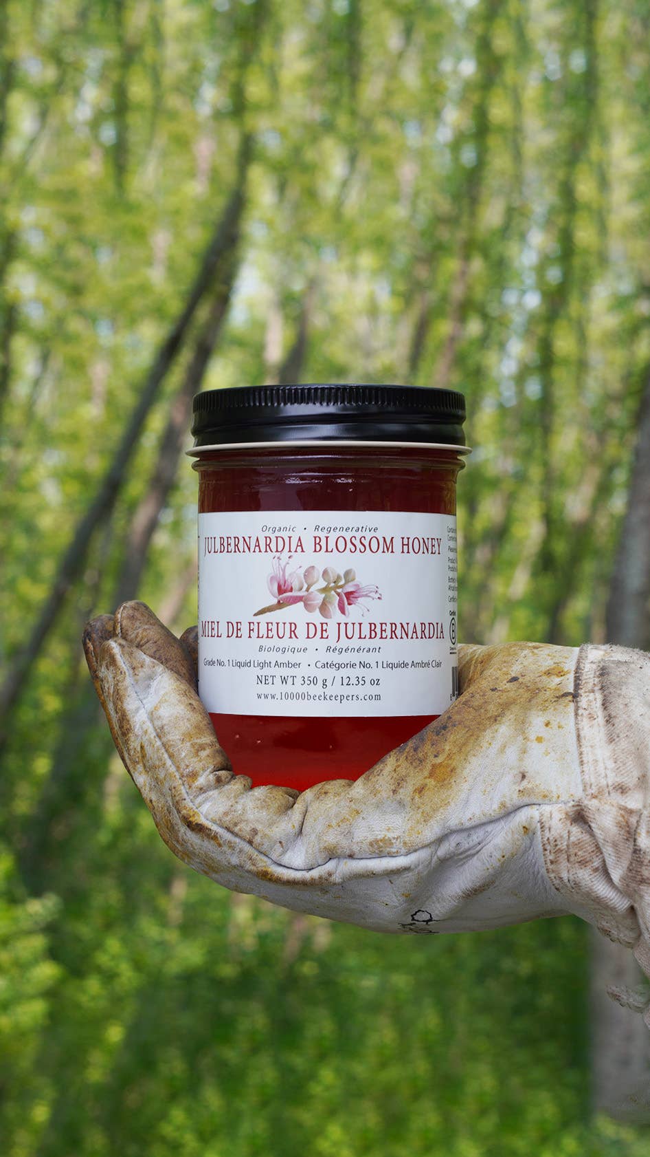 Jar of Julbernardia Blossom Honey held by a hand against a blurred natural background